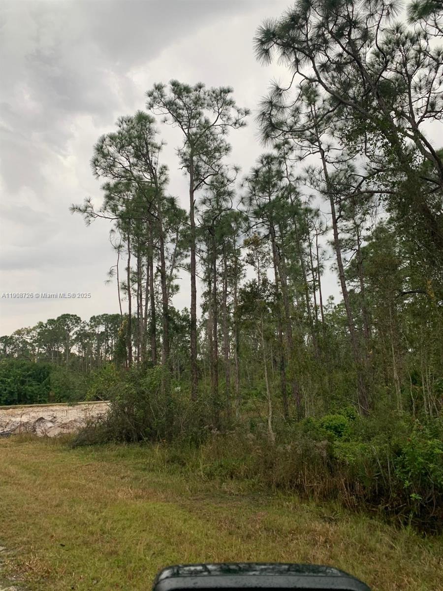 Tropical Gulf Acres - Land