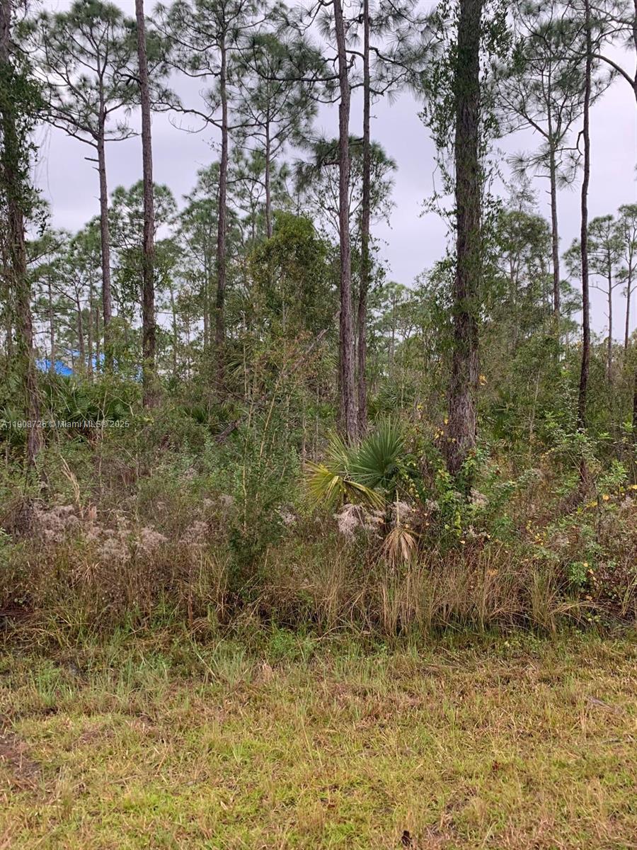 Tropical Gulf Acres - Land