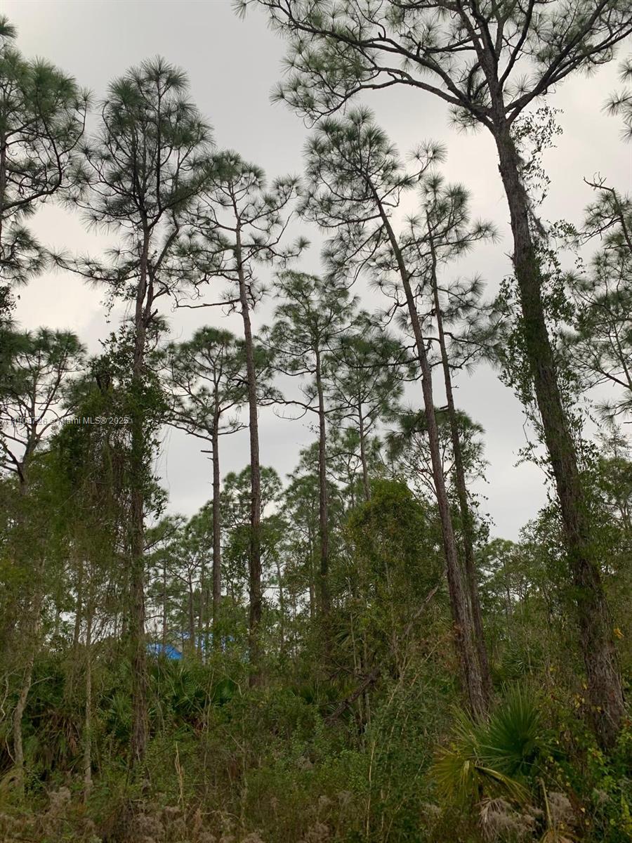 Tropical Gulf Acres - Land