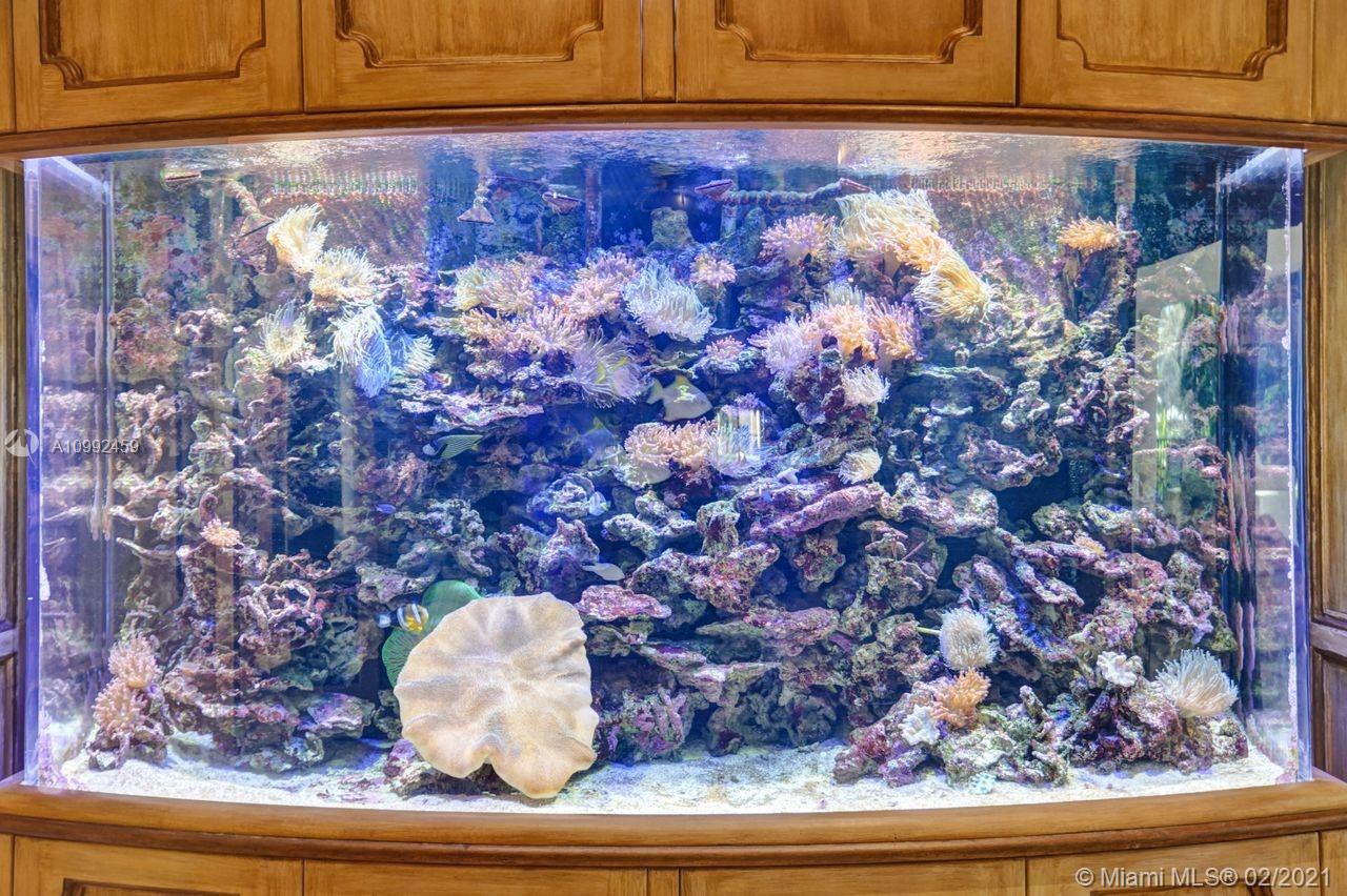 Windmill Ranch Estates - Residential