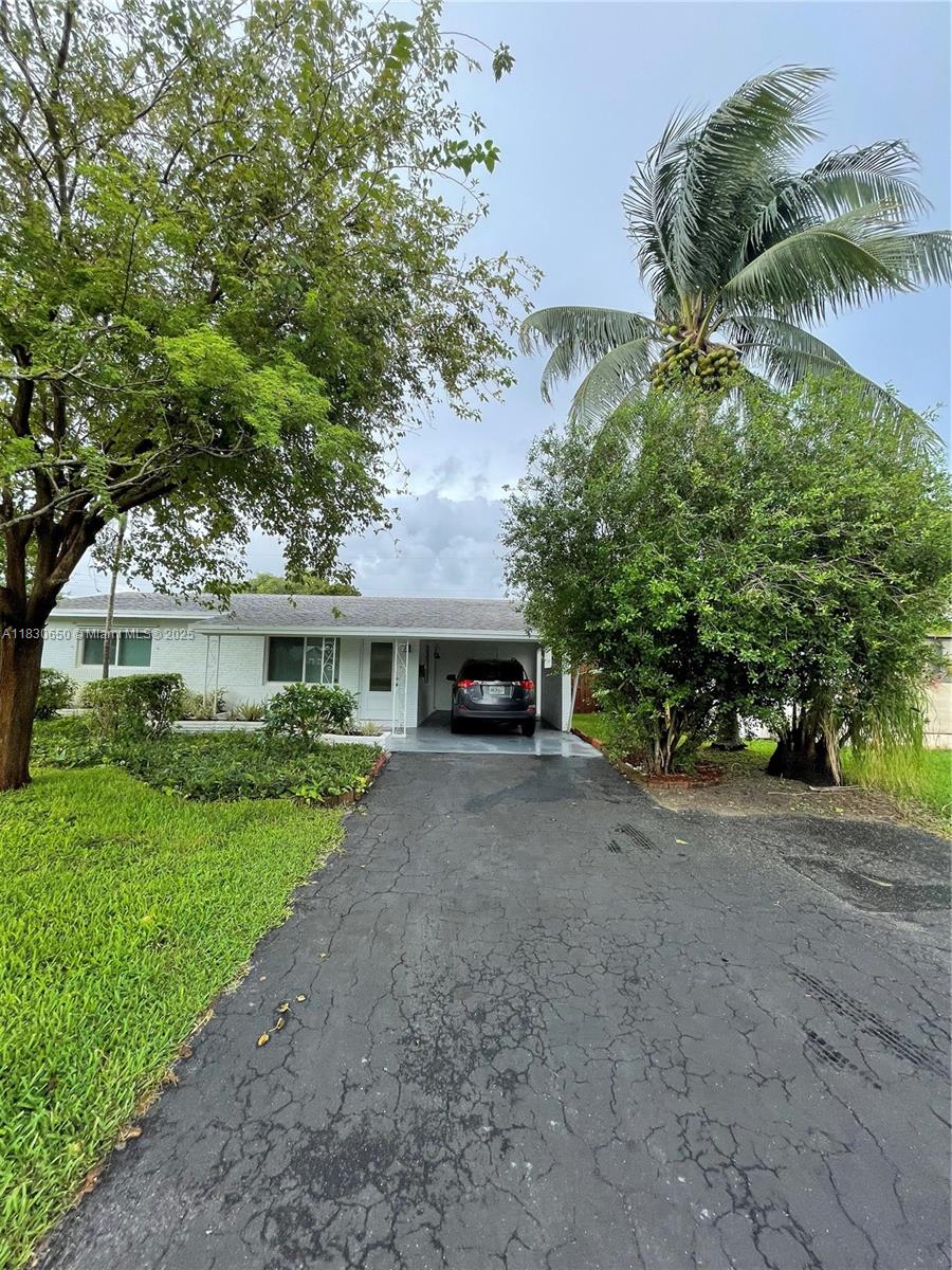 Beautiful North Andrews spacious home near the Beach. Impact windows, separate dinning and washer and dryer areas. White kitchen with porcelain floors. Upgraded bathrooms. Ceiling fans and recessed light. Ample covered Carport. (5 mins from Wilton Manors
entertainment and 10 mins to Las Olas). Room for 4-5 cars. Large front yard and fenced backyard (very private).
Newly painted. Large 3/2 with ample closets, Lots of windows (impact) and bright. Very private near Wilton Manors.