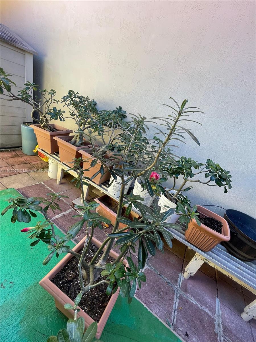 ANGELICA GARDENS AT LAKES - Residential