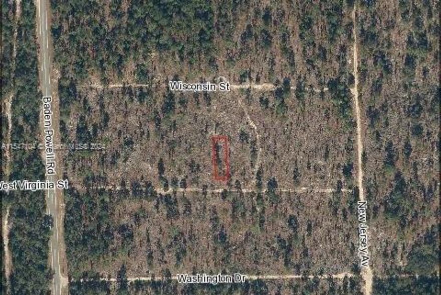 A REWARDING ESCAPE PEACEFULLY LOCATED IN HAWTHORNE, OCALA! Great Investment opportunity! Bring your Smores to the Campfire and Build your Dream Home!