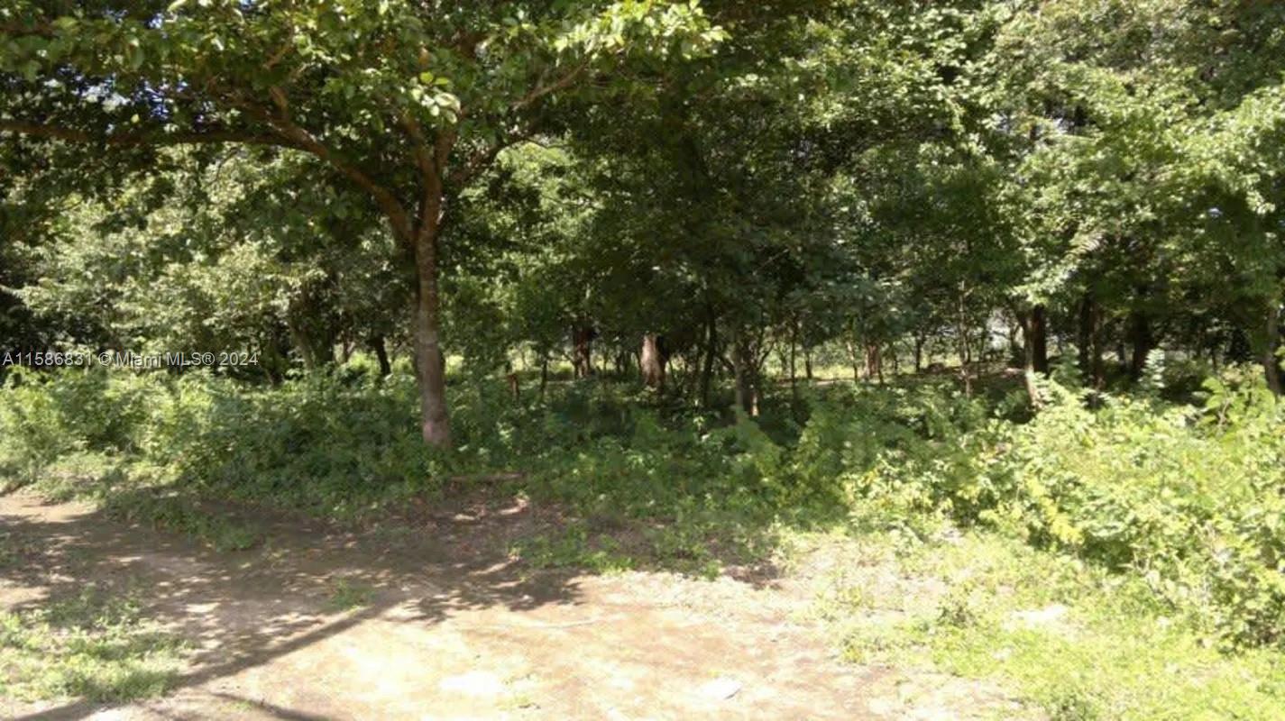 Located in Liberia, Guanacaste, 6 km from the city of Liberia,
on the way to the Daniel Oduber Quirós Airport, between the Buildings of the
Tránsito and La Liga de la Caña 4Km from the airport and 2Km from
NYA COSTA RICA tourism project.
Area: 36 Hectares 841.90m2.=360.841.009m2.
Ideal for Real Estate or Agricultural development.
USE OF LAND: IT IS Generic, meaning it is authorized for everything.
as long as there is no regulatory plan (there is none) and in the meantime
remain valid..
IMPORTANT: PURCHASE OPTIONS ARE HEARD in the form of terms, payments, direct financing, etc. Even evaluate receives part of payment for properties such as warehouses, preferably rented condominiums