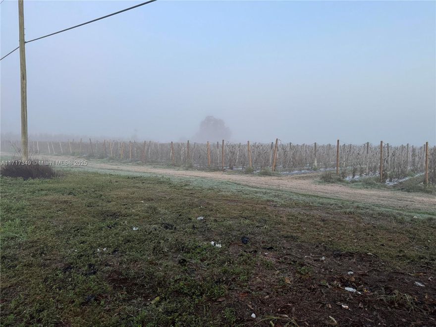 This 5 ac tract is ideal for a residential use, close to development but with enough distance from main road (SW 157 Ave) to be quiet and peaceful. Presently leased for agricultural use until the end of December 2025.