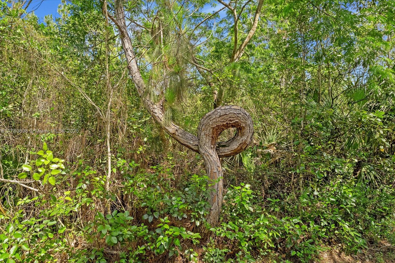 BREEZY OAKS - Residential