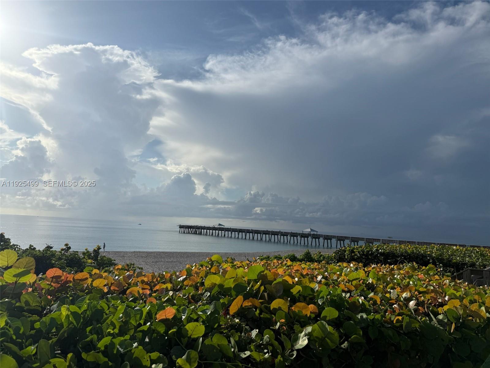 BEACHCOMBER - Residential Lease