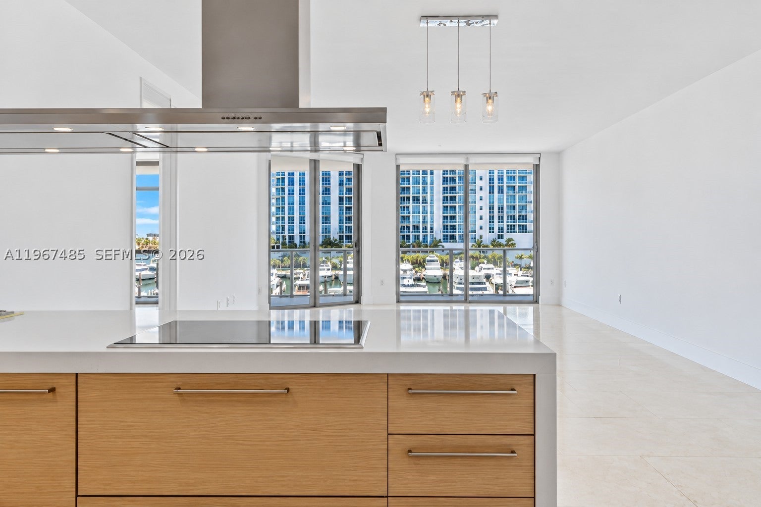 17301 Biscayne Blvd 305