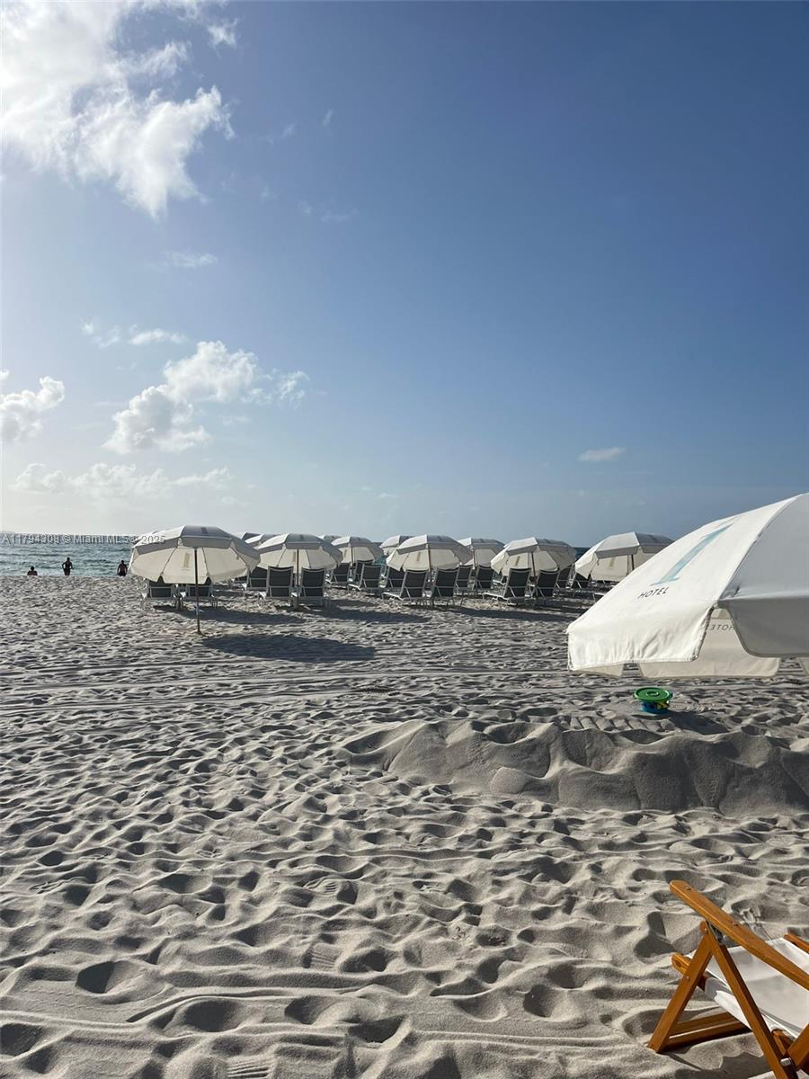 RONEY PALACE CONDO - Residential