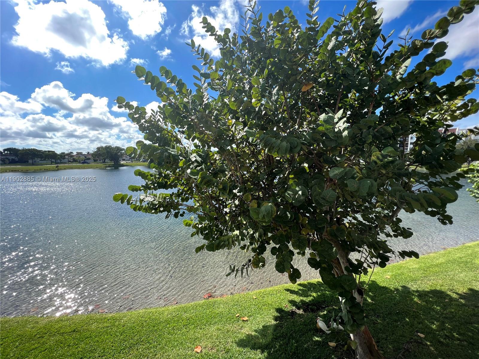 INDIAN LAKE VILLAGE II CO - Residential Lease