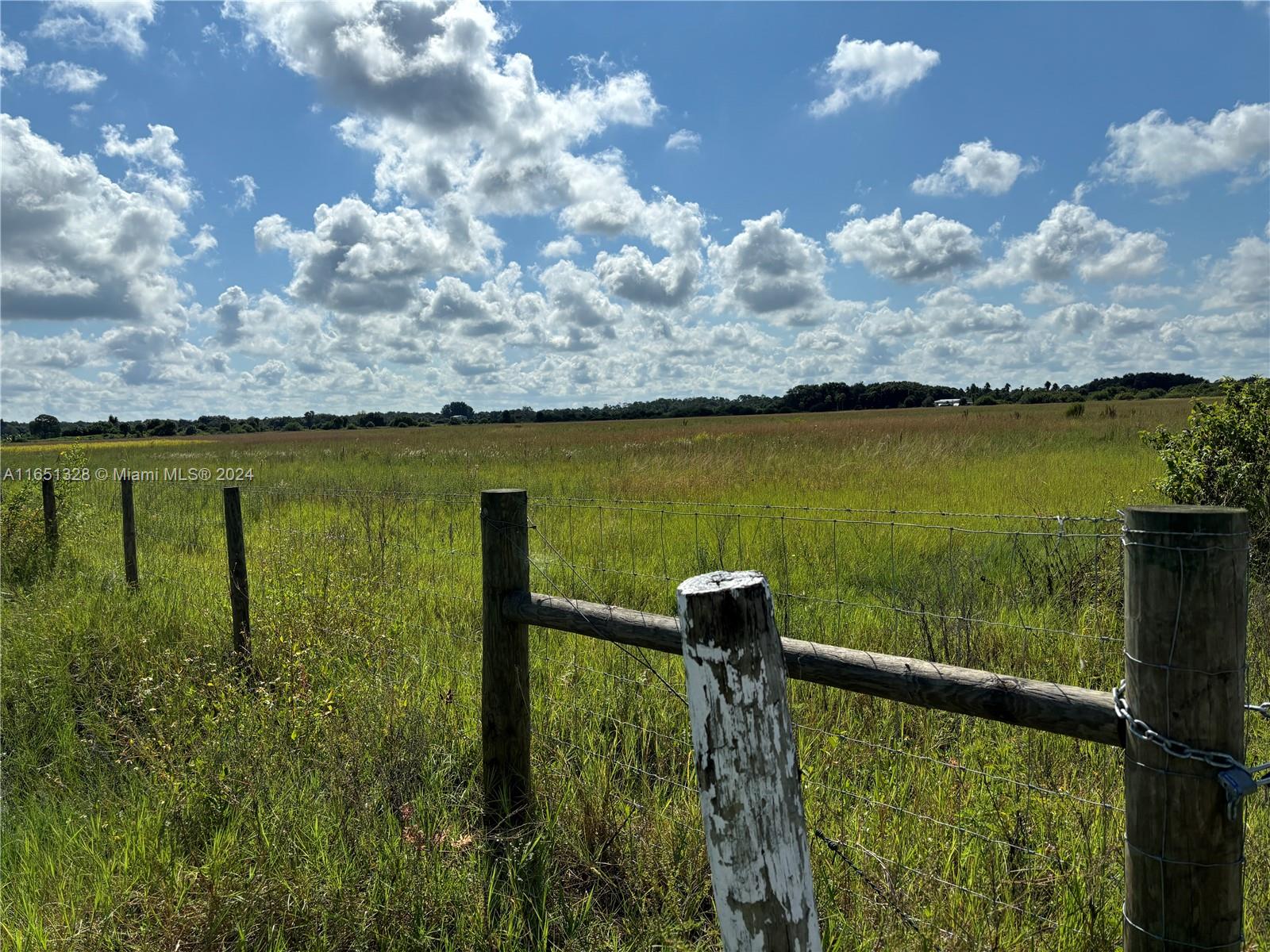 See New AD. 40 acres remain. The 41 acres to west side are no longer available. Approximately 1345' of frontage along the PAVED avenue. Fence on 3 sides of property with entry gate and culvert. Mostly cleared and improved pasture land. High and dry Flood Zone X. GOOD LAND, adjacent to Rural Residential lots. Upon A2 land, you may build home site, Farm, Recreational Farm & AG Business. Minimum 5 acres per home site & only with site plan and small community application and approval. All permits must be approved by Hendry County.The GPS is wrong. To find the remaining 40 acres, GPS 538 Homestead Ave to arrive, then simply look to the South & see the east side 40 Acres available. Please see new AD coming soon for 2508 Christopher Lane