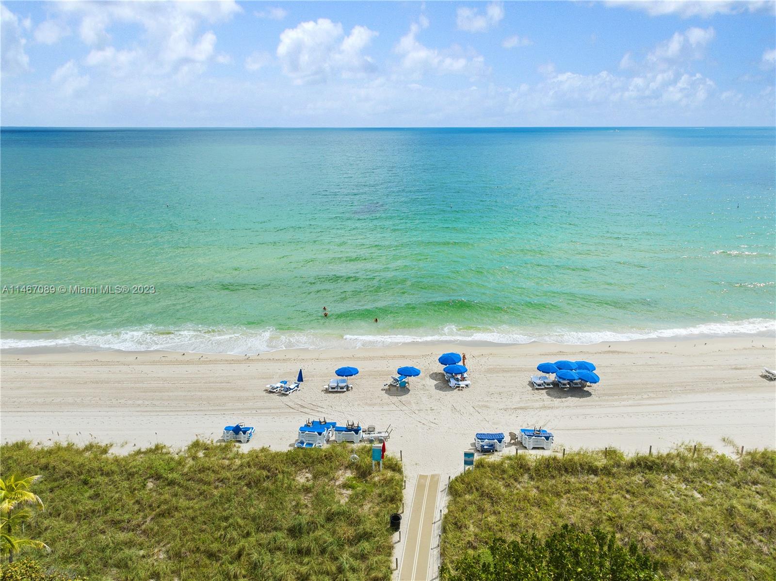 THE PALACE AT BAL HARBOUR - Residential