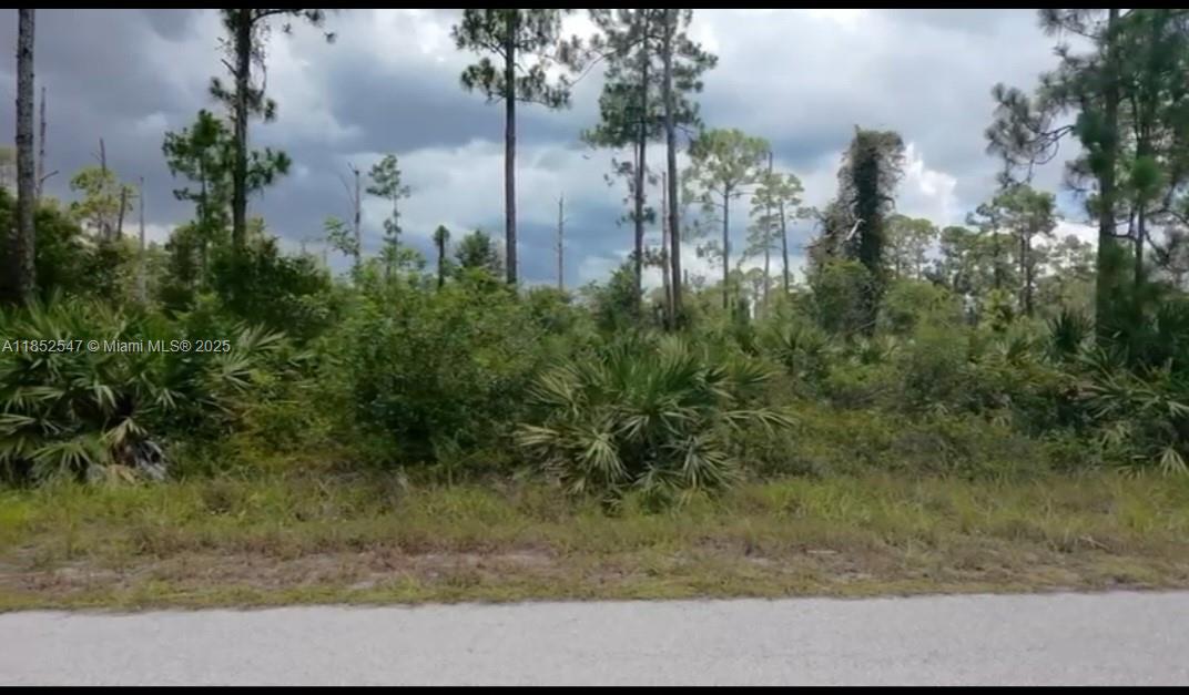 Excellent Opportunity!!! Build your home in half acres, with other new construction homes being built, just a short driver to fort Myers airport.