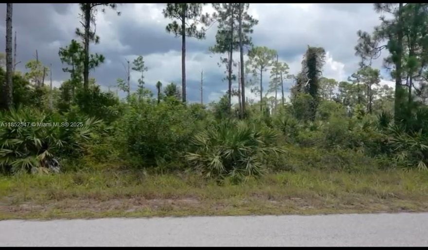 Excellent Opportunity!!! Build your home in half acres, with other new construction homes being built, just a short driver to fort Myers airport.