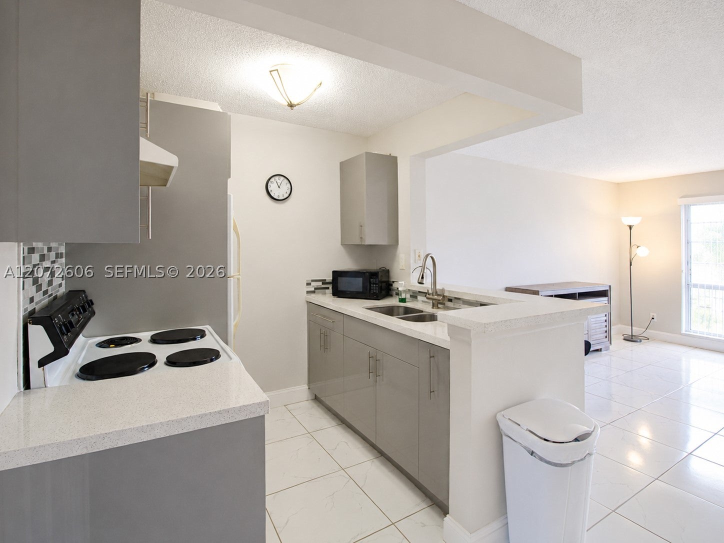 7155 Miami Lakes Dr P4