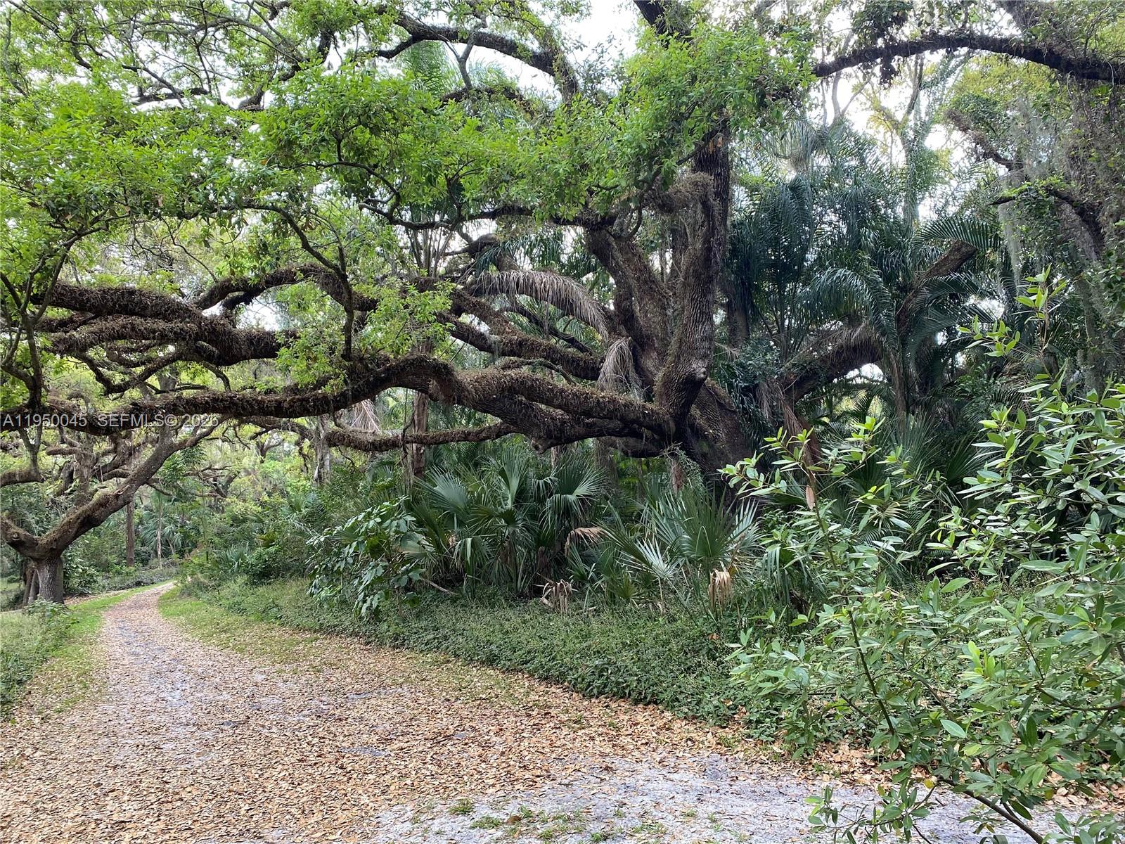 TRACT M-2 PLAT - Residential