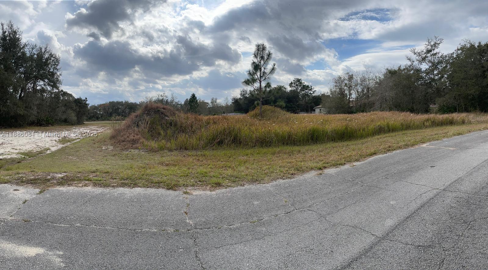 POINCIANA NBRHD 2 WEST VIL - Land