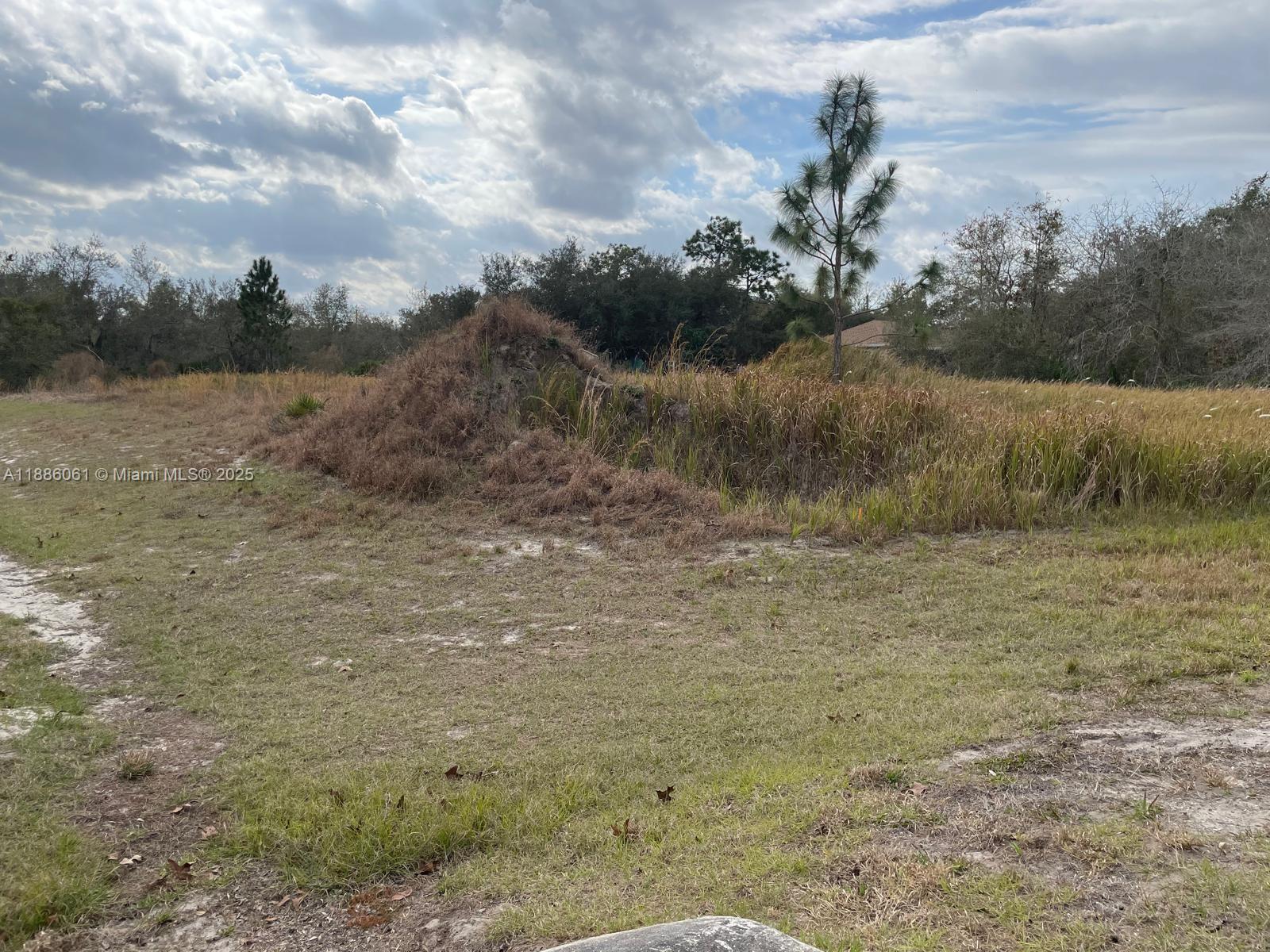 POINCIANA NBRHD 2 WEST VIL - Land