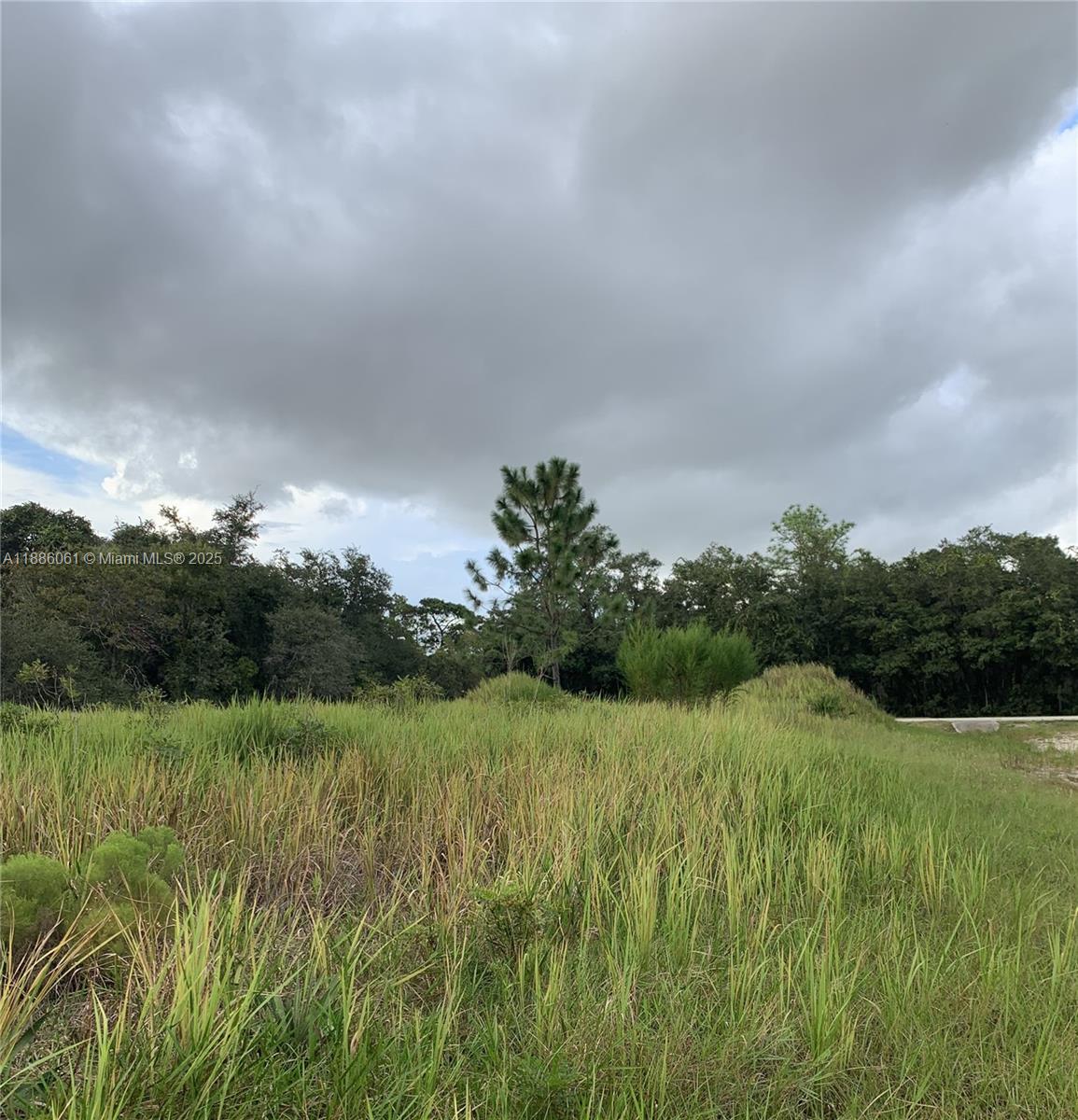 POINCIANA NBRHD 2 WEST VIL - Land