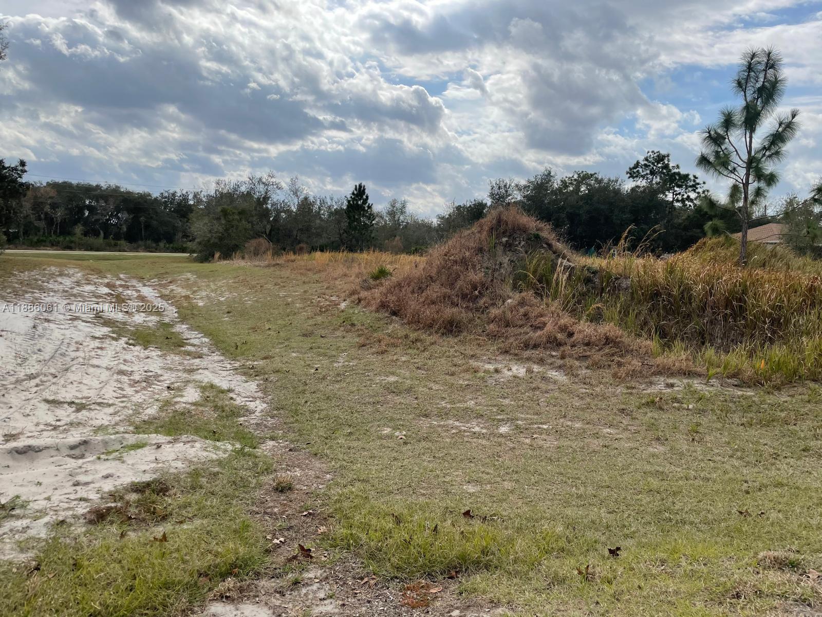 POINCIANA NBRHD 2 WEST VIL - Land