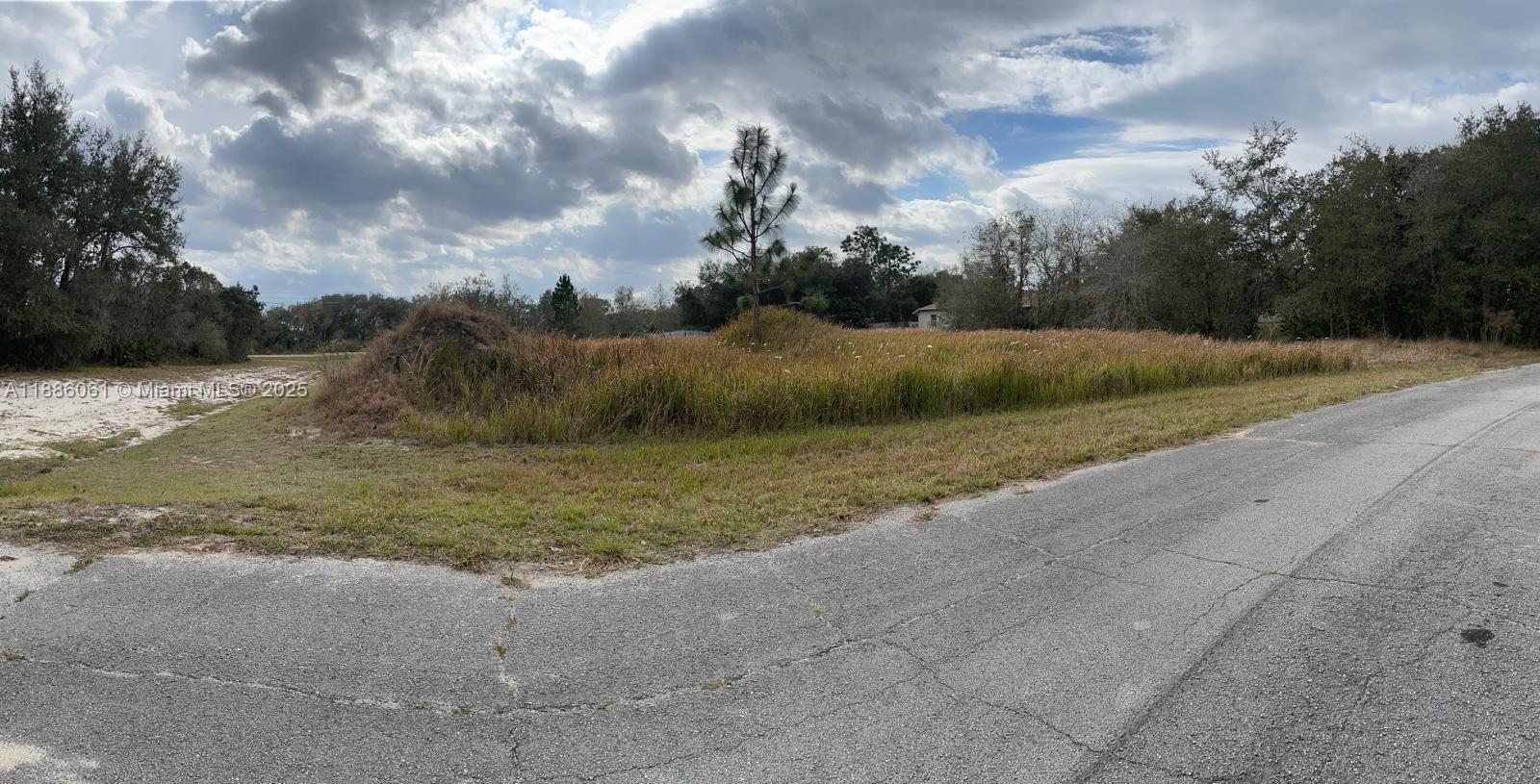 POINCIANA NBRHD 2 WEST VIL - Land