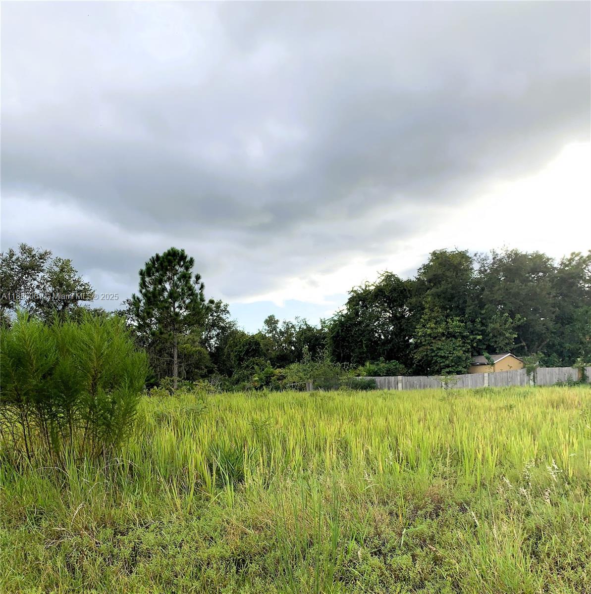 POINCIANA NBRHD 2 WEST VIL - Land