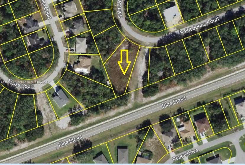Located At 531 St Johns Ct, Poinciana – Just A Short Drive From Orlando’s World-Famous Attractions Including Walt Disney World, Universal Studios, And SeaWorld. A Perfect Opportunity To Invest Or Build In One Of Central Florida’s Fastest-Growing Communities! This Lot Provides The Best Of Both Worlds: Peaceful Residential Living With Quick Access To Endless Entertainment, Dining, And Cultural Experiences. Situated In The Growing Poinciana Villages, Residents Enjoy Access To The Renowned Poinciana Villages Community Association Featuring Sparkling Community Pools, Fitness Center, Recreation Facilities, Clubhouses, Scenic Parks, Playgrounds, Dog Parks, Basketball, Tennis, Racquetball Courts, Walking And Biking Trails, Plus Nearby Lake Marion For Boating And Fishing.