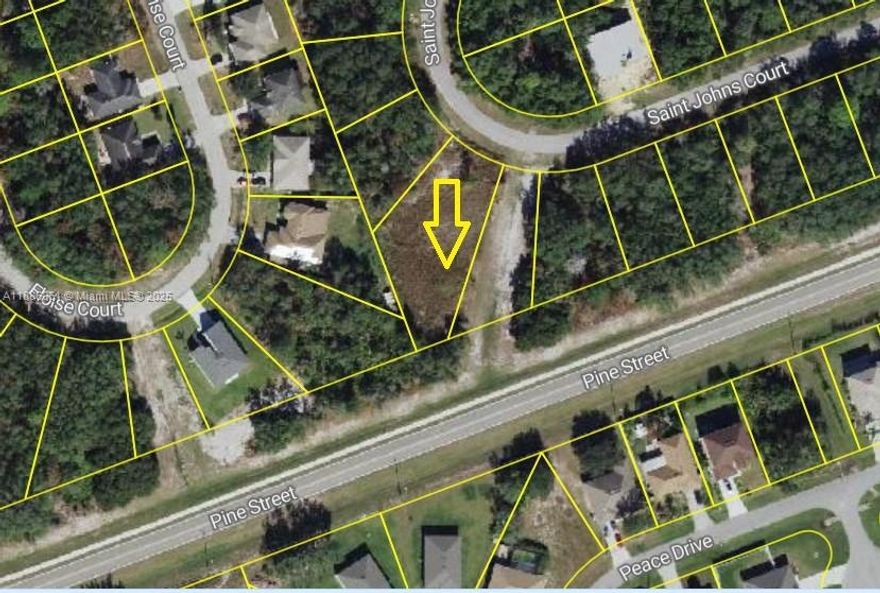 Located At 531 St Johns Ct, Poinciana – Just A Short Drive From Orlando’s World-Famous Attractions Including Walt Disney World, Universal Studios, And SeaWorld. A Perfect Opportunity To Invest Or Build In One Of Central Florida’s Fastest-Growing Communities! This Lot Provides The Best Of Both Worlds: Peaceful Residential Living With Quick Access To Endless Entertainment, Dining, And Cultural Experiences. Situated In The Growing Poinciana Villages, Residents Enjoy Access To The Renowned Poinciana Villages Community Association Featuring Sparkling Community Pools, Fitness Center, Recreation Facilities, Clubhouses, Scenic Parks, Playgrounds, Dog Parks, Basketball, Tennis, Racquetball Courts, Walking And Biking Trails, Plus Nearby Lake Marion For Boating And Fishing.