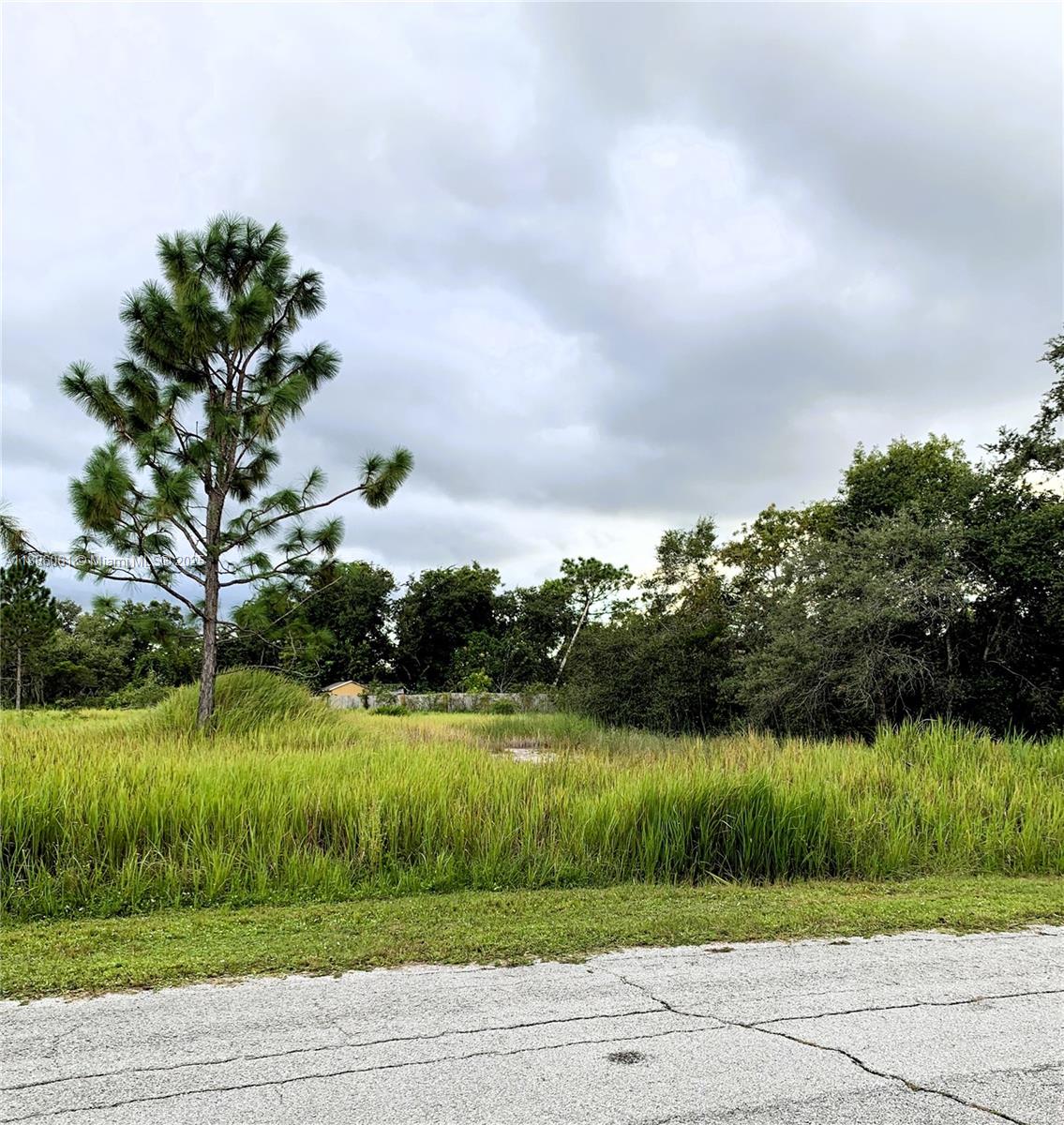POINCIANA NBRHD 2 WEST VIL - Land