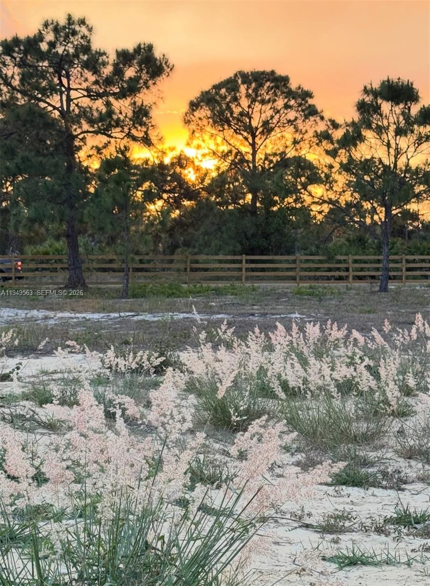 MONTURA SOUTH HALF - Land