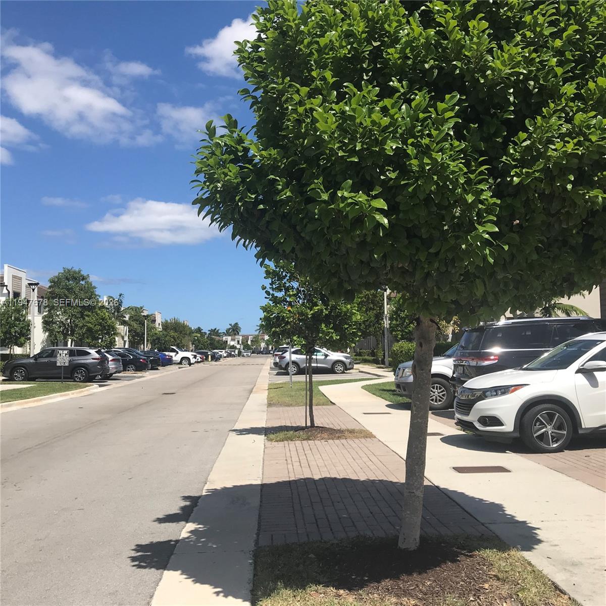 VIA VENTURA NEIGHBORHOOD - Residential