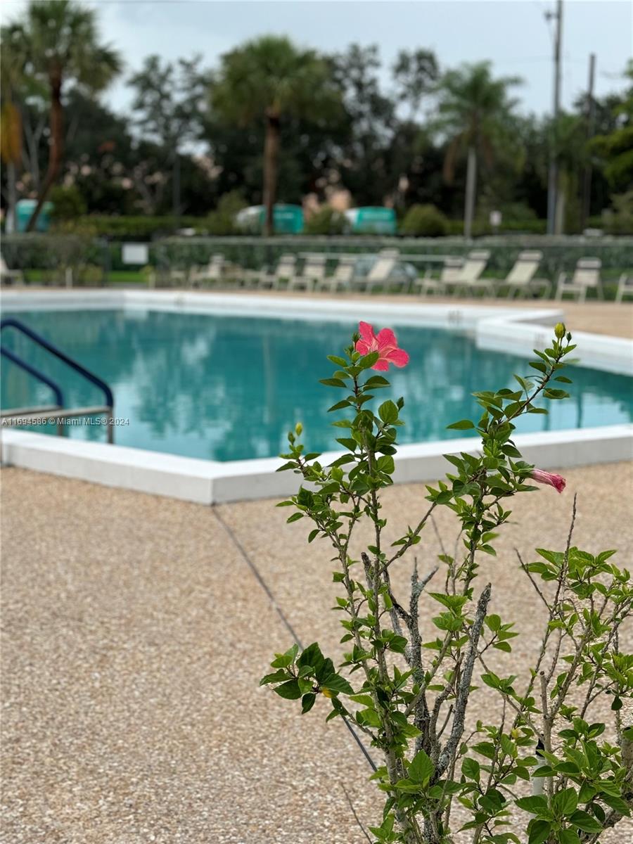 PLYMOUTH AT CENTURY VILLA - Residential
