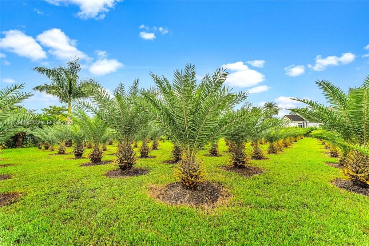 GRIFFIN 345 PLAT - Residential