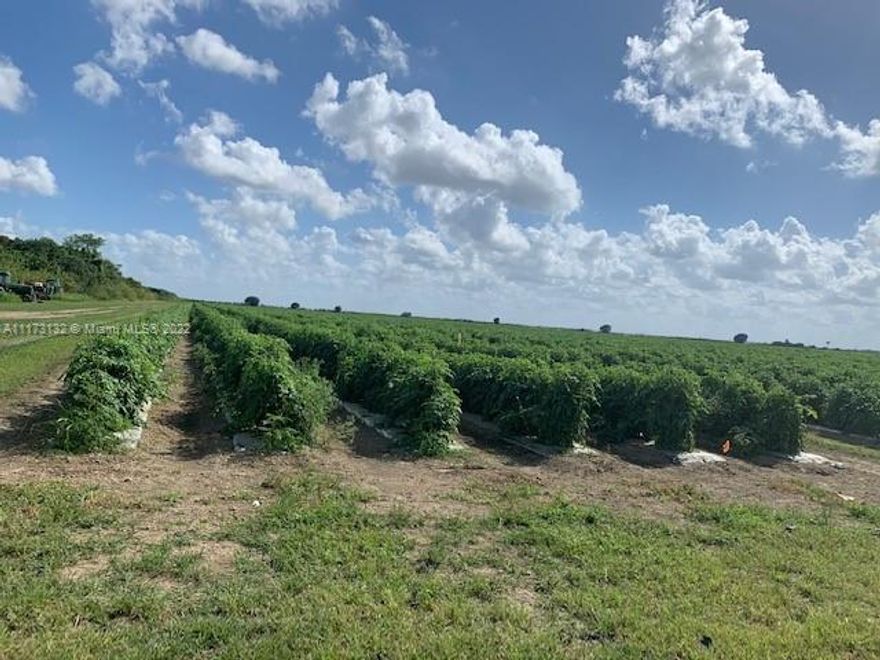 20 Acres outside the UDB. Currently farmed with Agricultural exemption The property is located in the hammocks area of kendall with medium density housing close by. This parcel is destined to be included in the master plan extending the UDB. The Archbishop Coleman Carroll High School is located directly across the street .