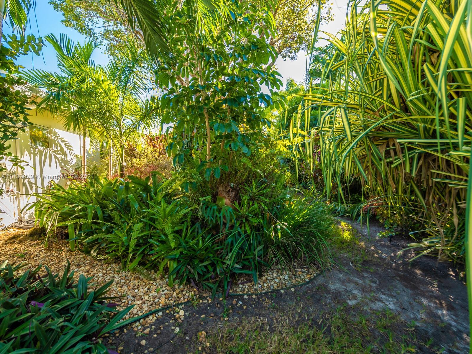 AMD PL OF BELMAR - Residential