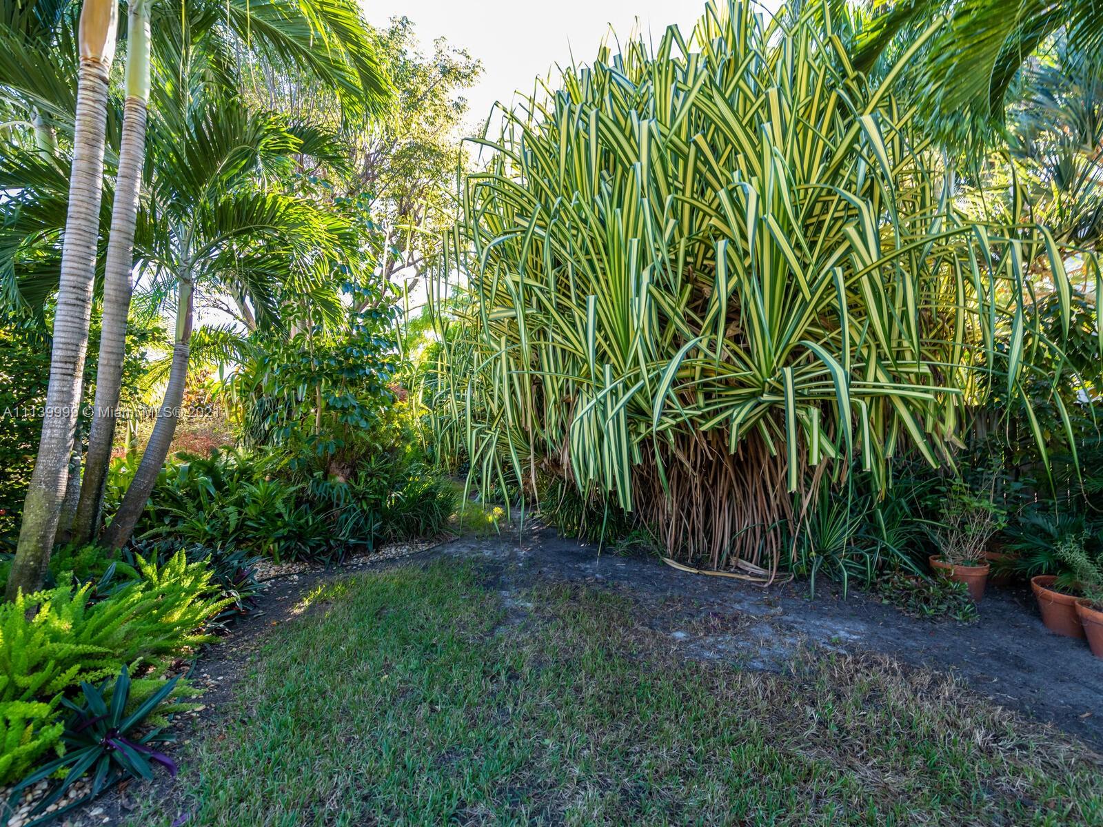 AMD PL OF BELMAR - Residential