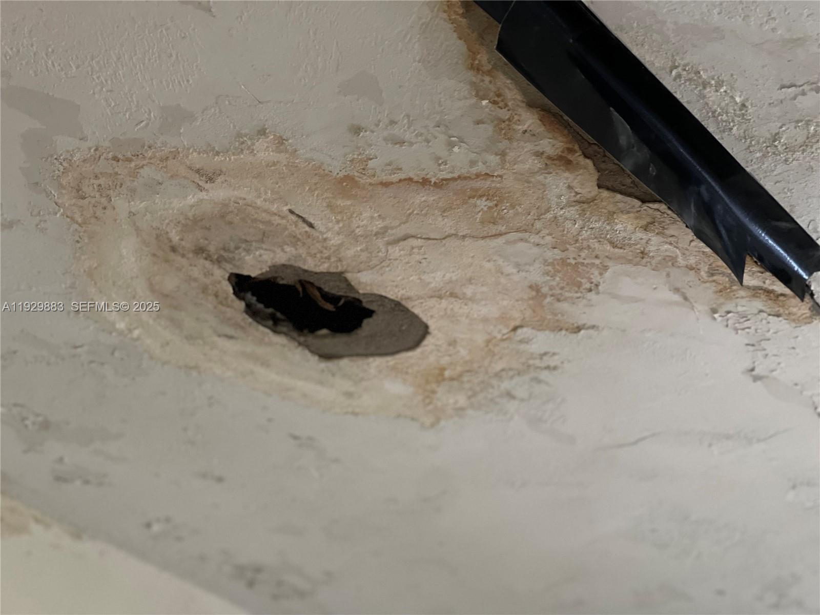 GRAPELAND CENTER - Residential