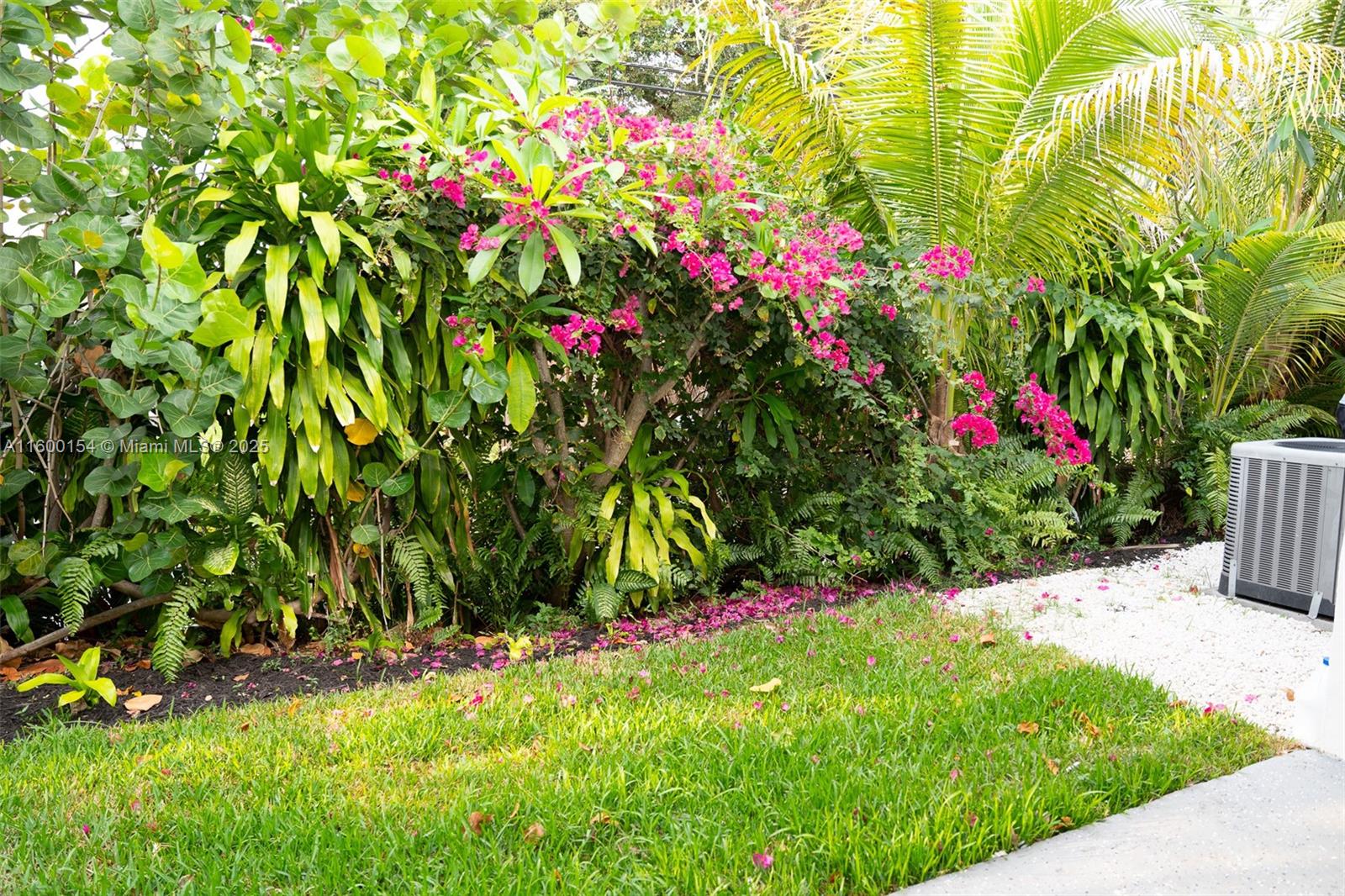HOLLYWOOD HILLS - Residential