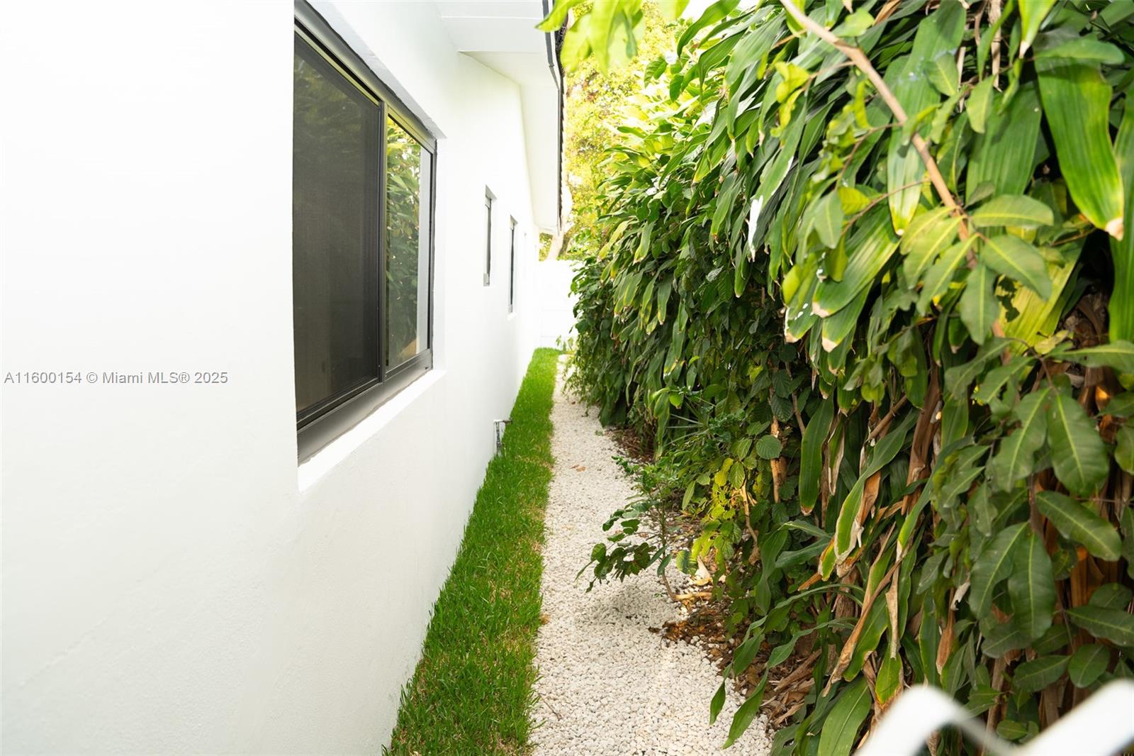 HOLLYWOOD HILLS - Residential