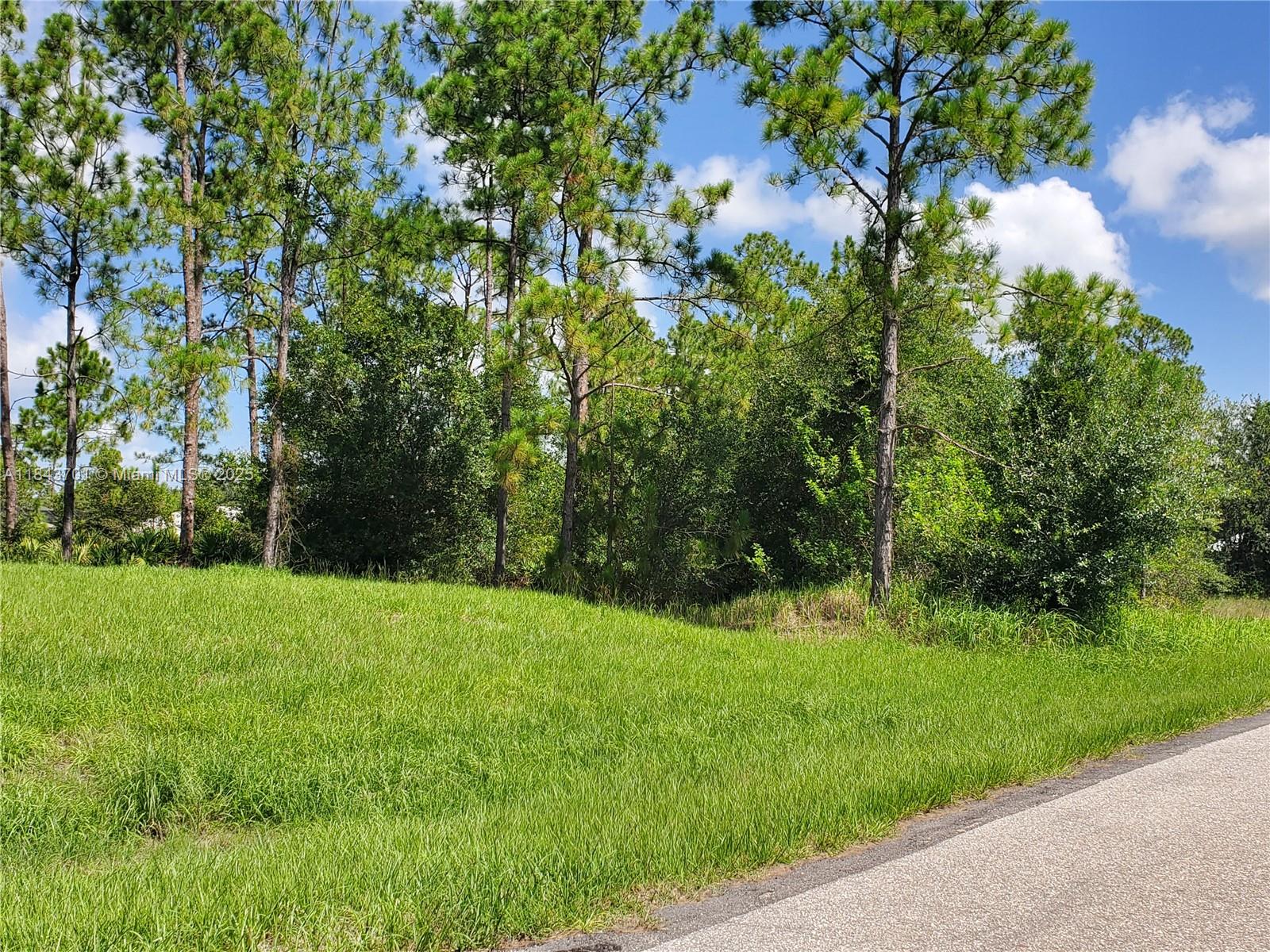 This 1/4-acre residential lot is truly an amazing diamond in the rough. Don't miss this opportunity to build your perfect and modern dream home. This lot beckons you to dream big and bold. Let your imagination run wild in the pleasant and beautiful surroundings. This residential lot has no HOA, therefore no restrictions for you to build even a swimming pool. This blank canvas is ready for your masterpiece.
