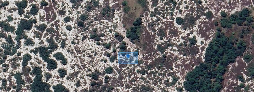 OWNER WILL FIANANCE!!! 1K DOWN, $213.05 PER MONTH FOR 36 MONTHS!!  FENCED IN BY FWC YOU WILL NEED TO GET A KEY FROM FWC TO HAVE ACCESS! Huge 80 X 125 lot located in the Sun N Lakes Lake Placid community, Located in Sun n Lakes Subdivision this lot is high and dry. Sun 'N Lakes Lake Placid is located approximately 85 miles from either coast and about 100 miles south of Orlando. There is a beautiful park with a white sandy beach and two docks on Lake Grassy. OWNER WILL FINANCE!!! PLEASE CHECK WITH HIGHLANDS COUNTY BUILDING DEPARMENT FOR ANY BUILDING QUESTIONS.