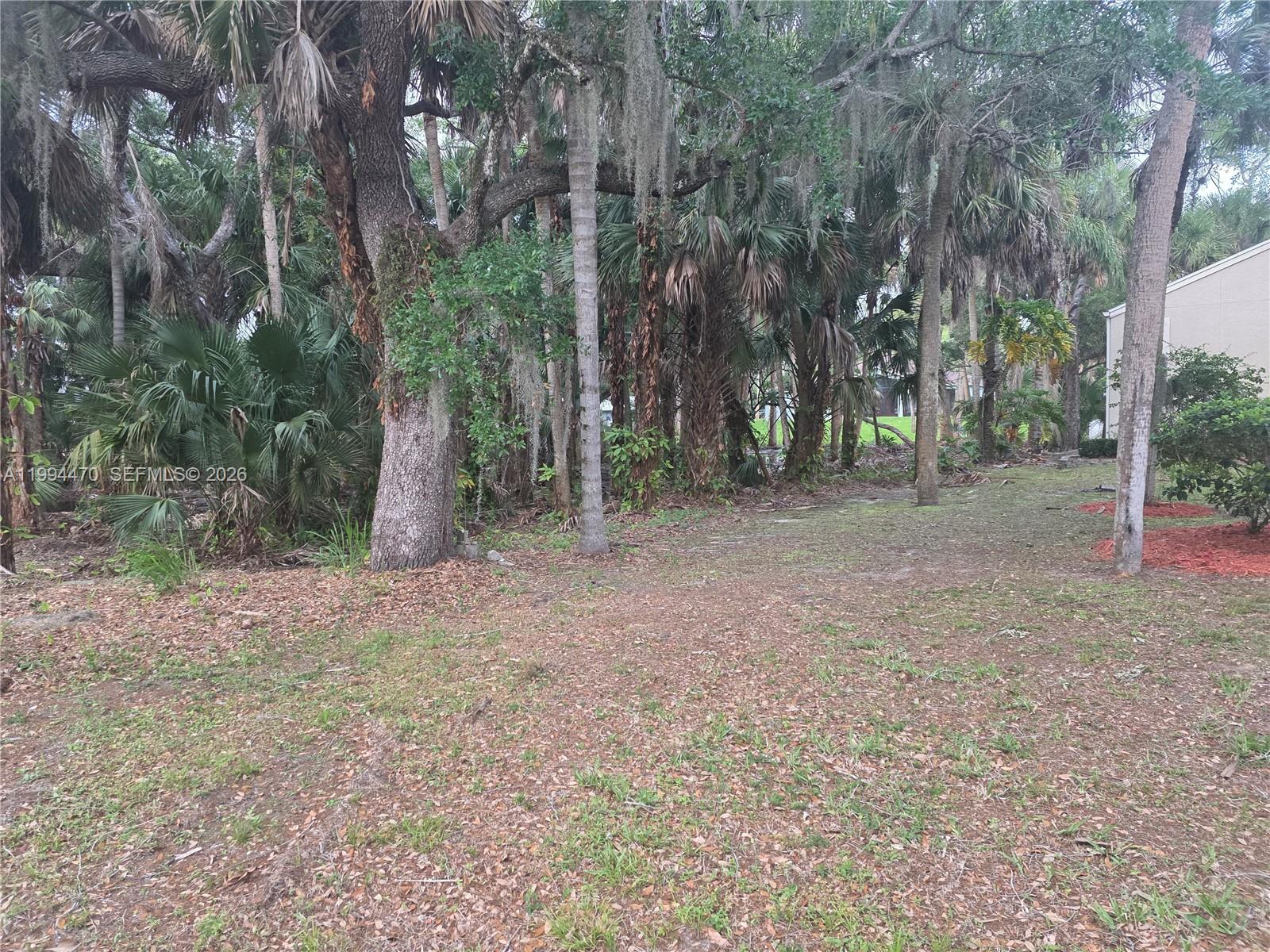 RAINTREE FOREST (UNRECORD - Land