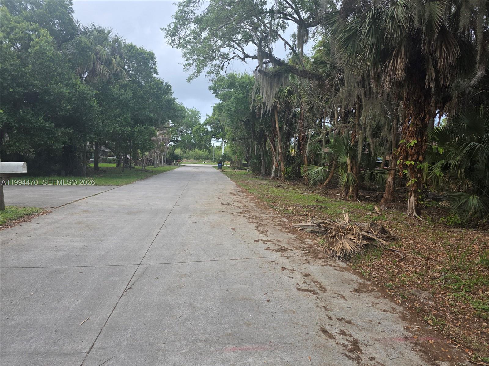 RAINTREE FOREST (UNRECORD - Land