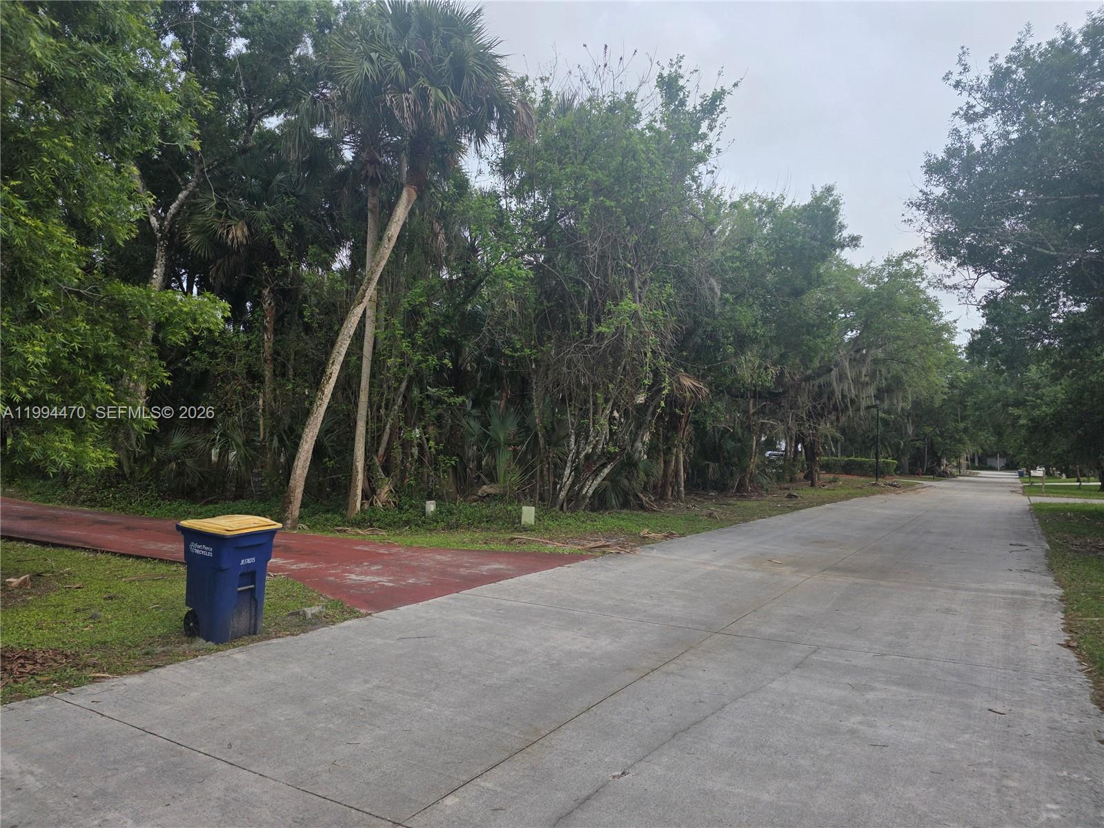 RAINTREE FOREST (UNRECORD - Land