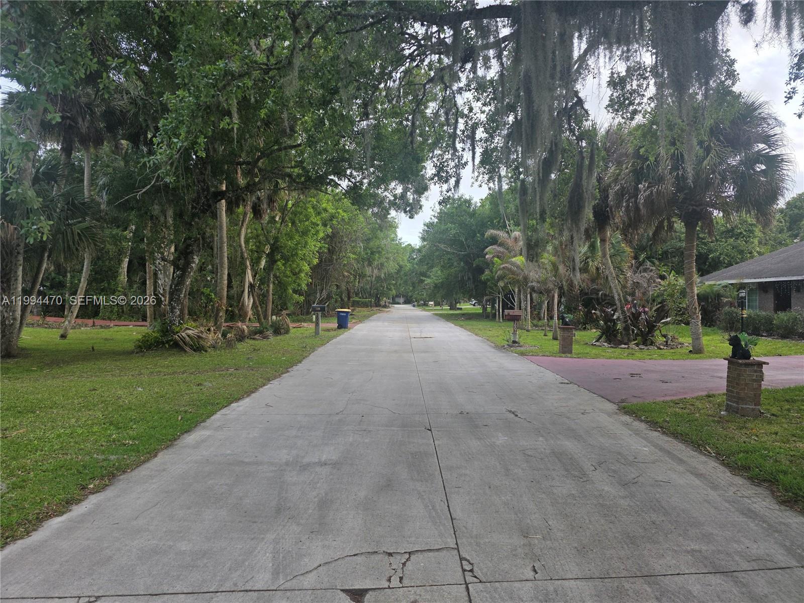 RAINTREE FOREST (UNRECORD - Land