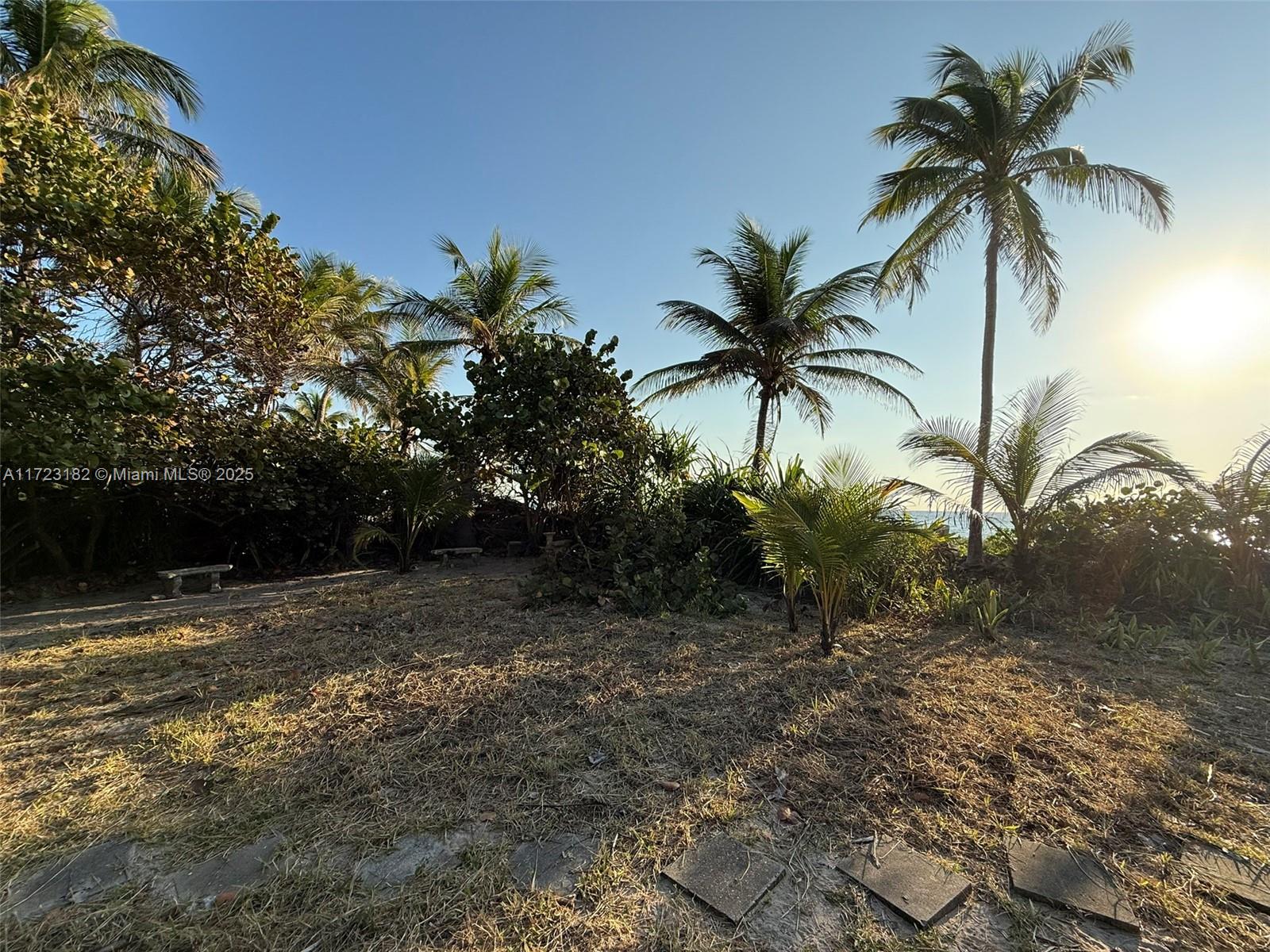 Hollywood Central Beach - Land