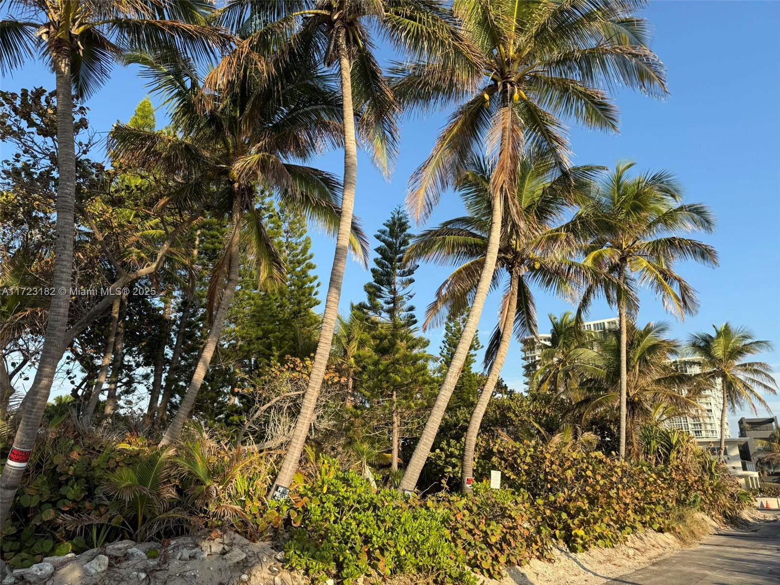 Hollywood Central Beach - Land