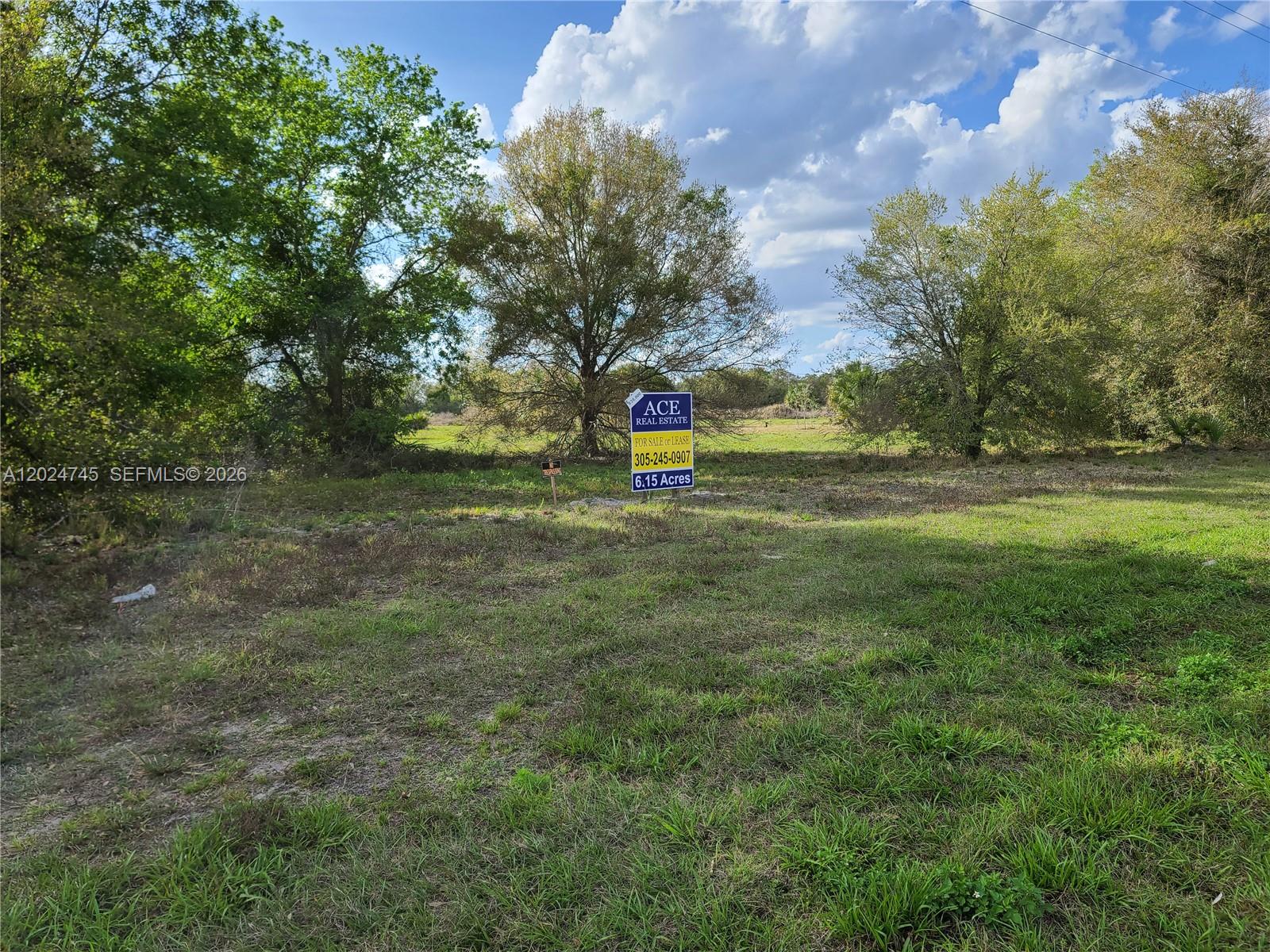 1527 N HIGHWAY 17