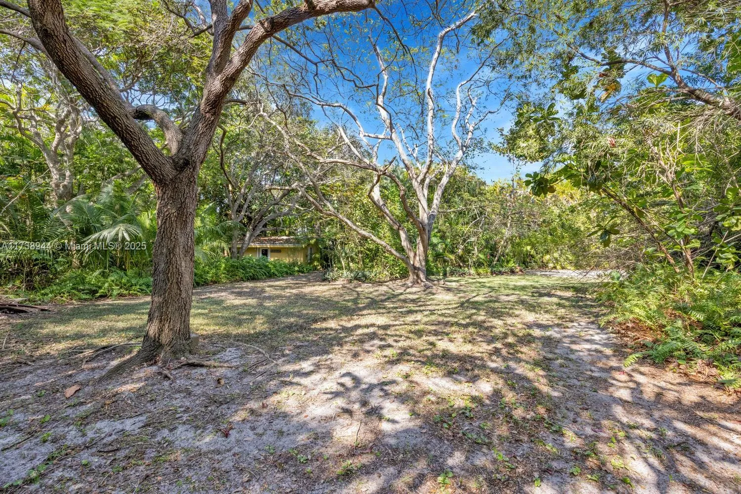 Palmetto Bay, Florida 33158, United States, ,Land,Active,7597