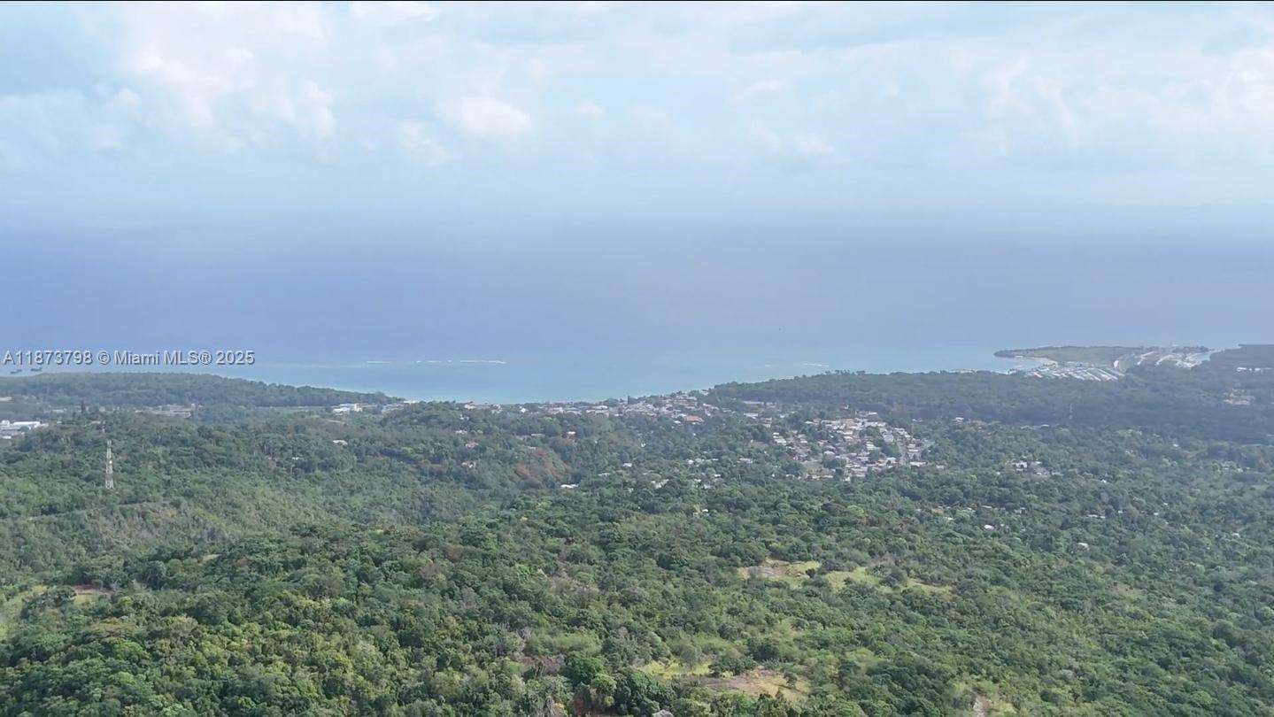 Discover an extraordinary investment opportunity in Jamaica's most coveted tourism corridor. This exceptional 245-acre estate presents a rare chance to acquire prime development land with unparalleled natural assets & strategic positioning along Jamaica's renowned North Coast tourism belt.
The property boasts a breathtaking 180-degree panoramic ocean vista from Ocho Rios to St. Ann's Bay, providing unobstructed Caribbean Sea views commanding premium rates in luxury hospitality. The estate's diverse topography includes pristine palms, exotic orchids, a natural river, waterfall, & two freshwater springs producing exceptional drinking water.
Jamaica's North Coast continues to see strong tourism growth & increasing demand for luxury accommodations & exclusive residential properties.